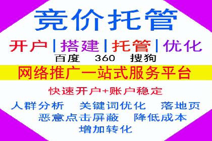 探索专业SEM托管的奥秘：从案例看效果